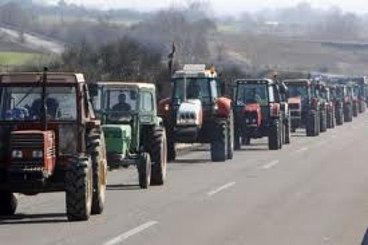 croatia agrotes